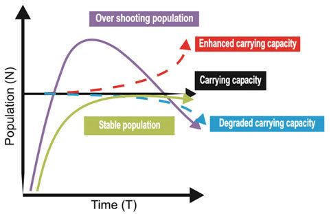 population vs time in carrying capacity