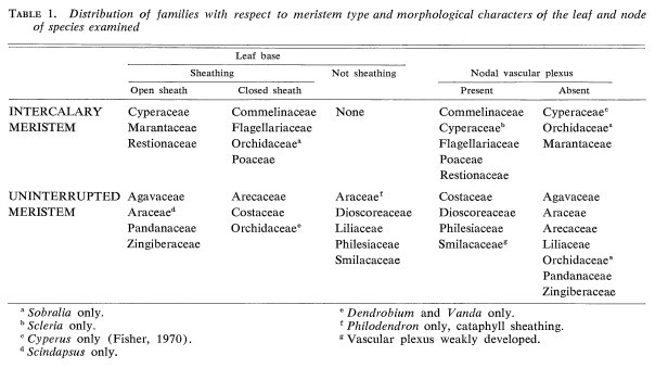 presence of intercalary meristem along the spectra of angiosperm families (Fisher, 1976)