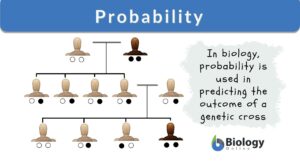 probability definition