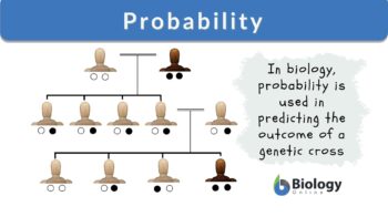 probability definition