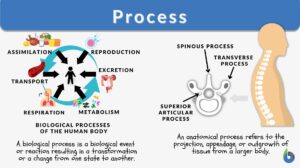 process definitions and examples