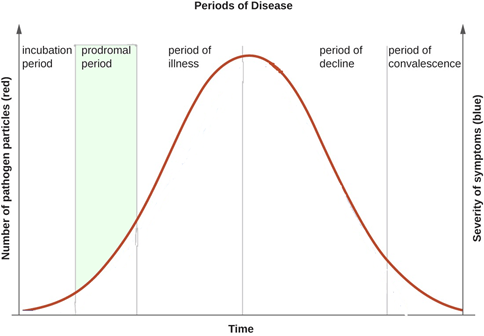 prodromal period and the stages of diseases - diagram