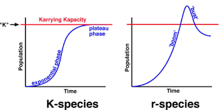 r-strategists and K-strategists