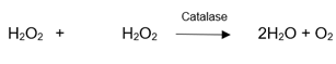 reaction via catalase