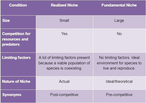 What does niche mean deals