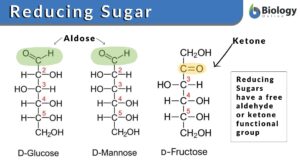 reducing sugar definition