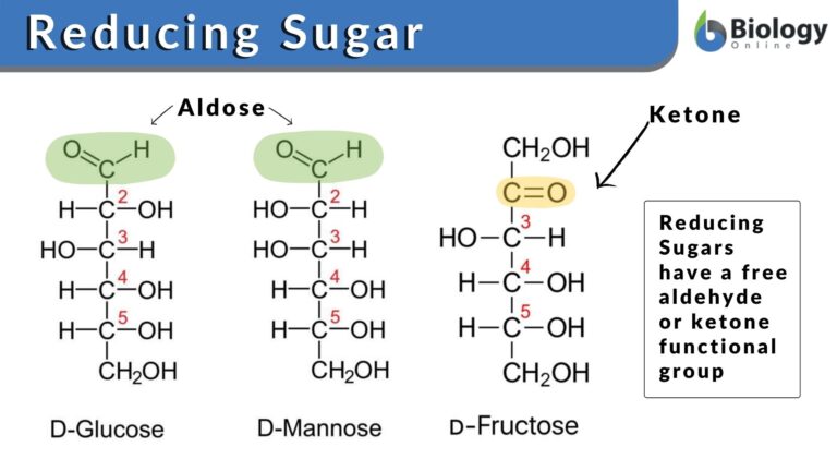 reducing sugar definition