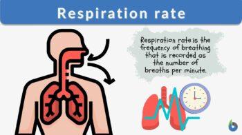 respiration rate definition