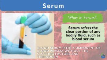 serum definition and example