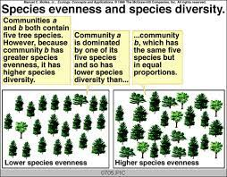species evenness and species diversity
