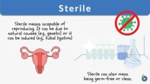 sterile definition and examples