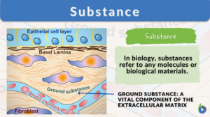 substance definition and example