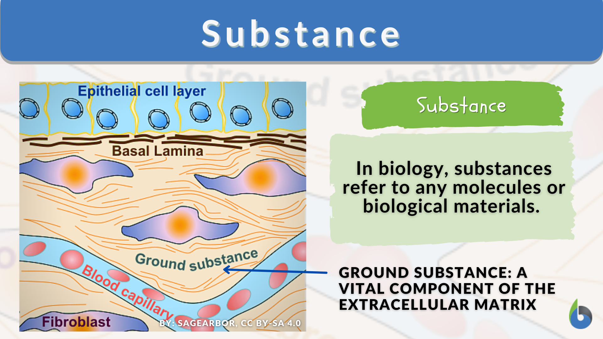 Substance - Definition and Examples - Biology Online Dictionary