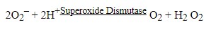 superoxide dismutase in chemical reaction