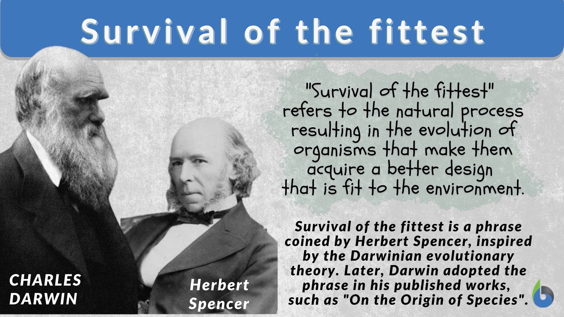 social darwinism survival of the fittest