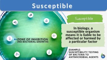 susceptible definition and example