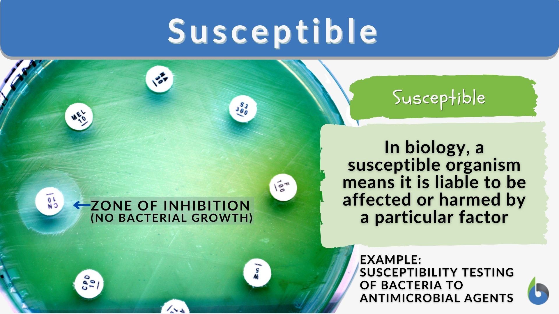 Susceptible - Definition and Examples - Biology Online Dictionary