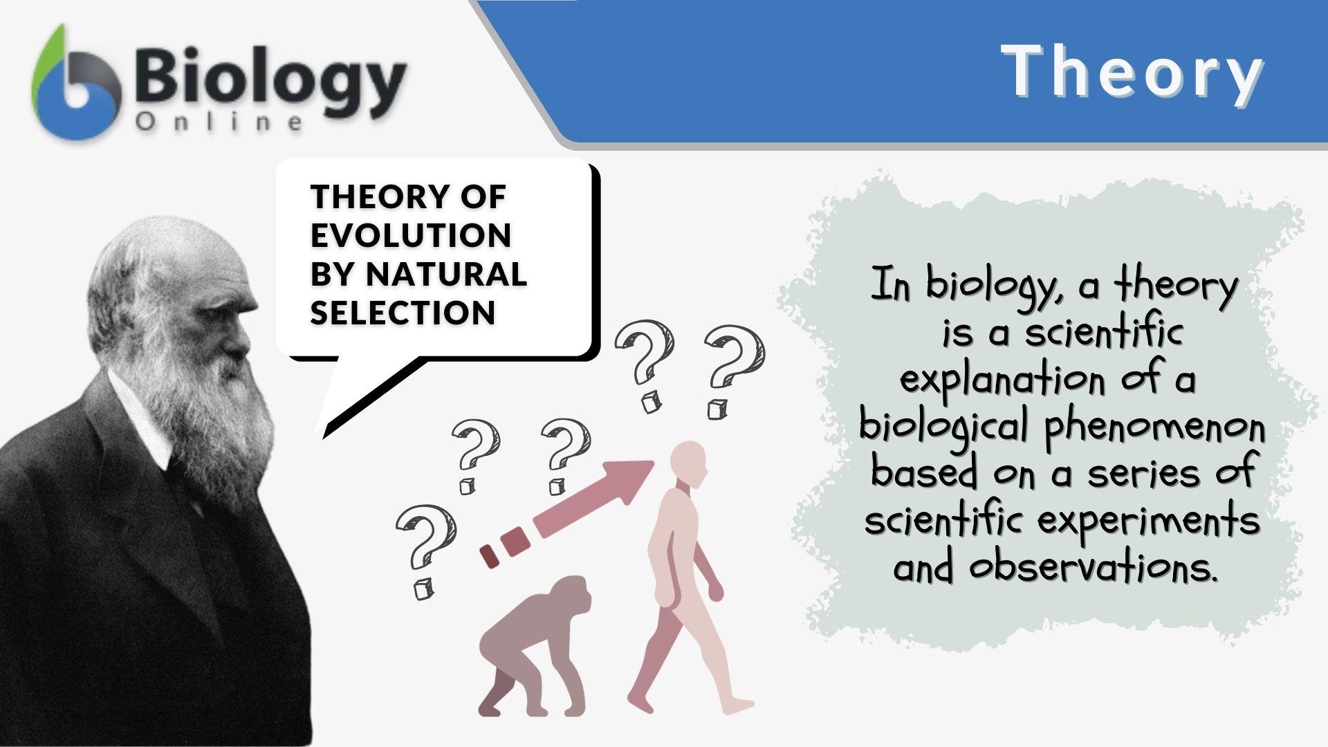 Theory Definition and Examples - Biology Online Dictionary