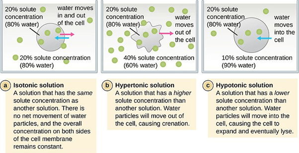 tonicity infograph
