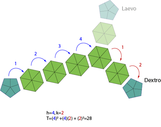triangulation numbers in an icosahedral geometry