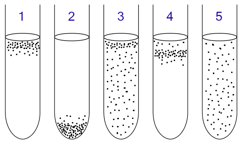 types of bacteria - oxygen requirement and tolerance