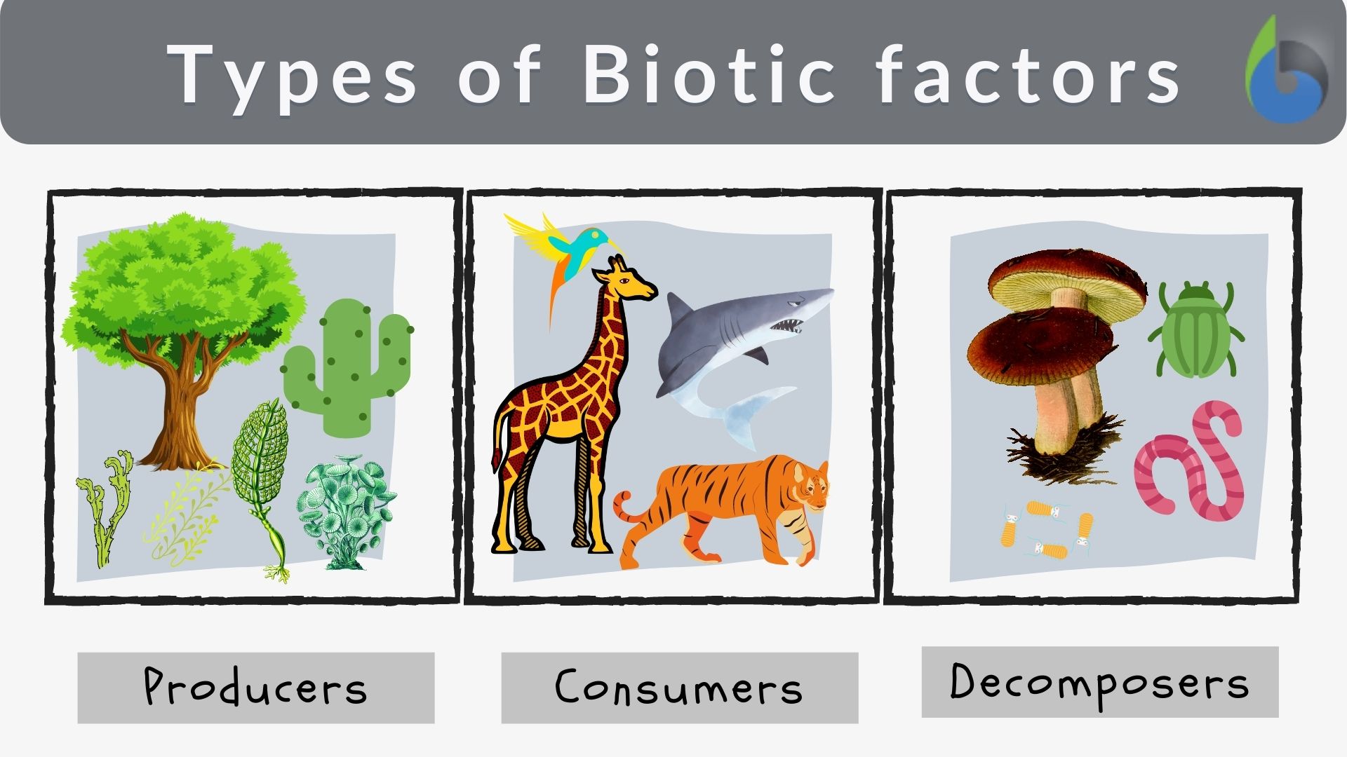 types of biotic components