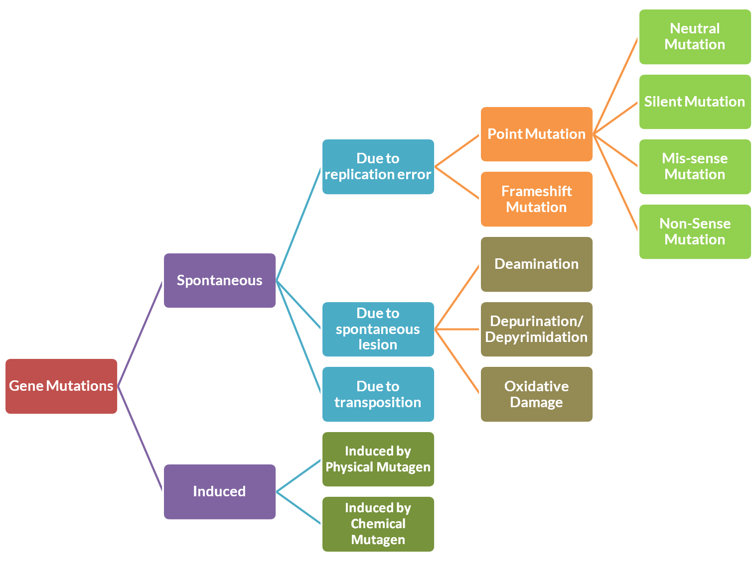 Nonsense mutation Definition and Examples Biology Online Dictionary