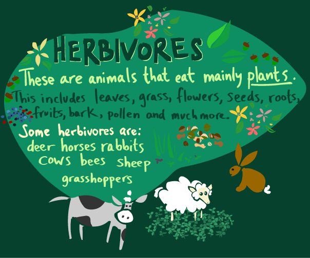 Herbivore - Definition and Examples - Biology Online Dictionary