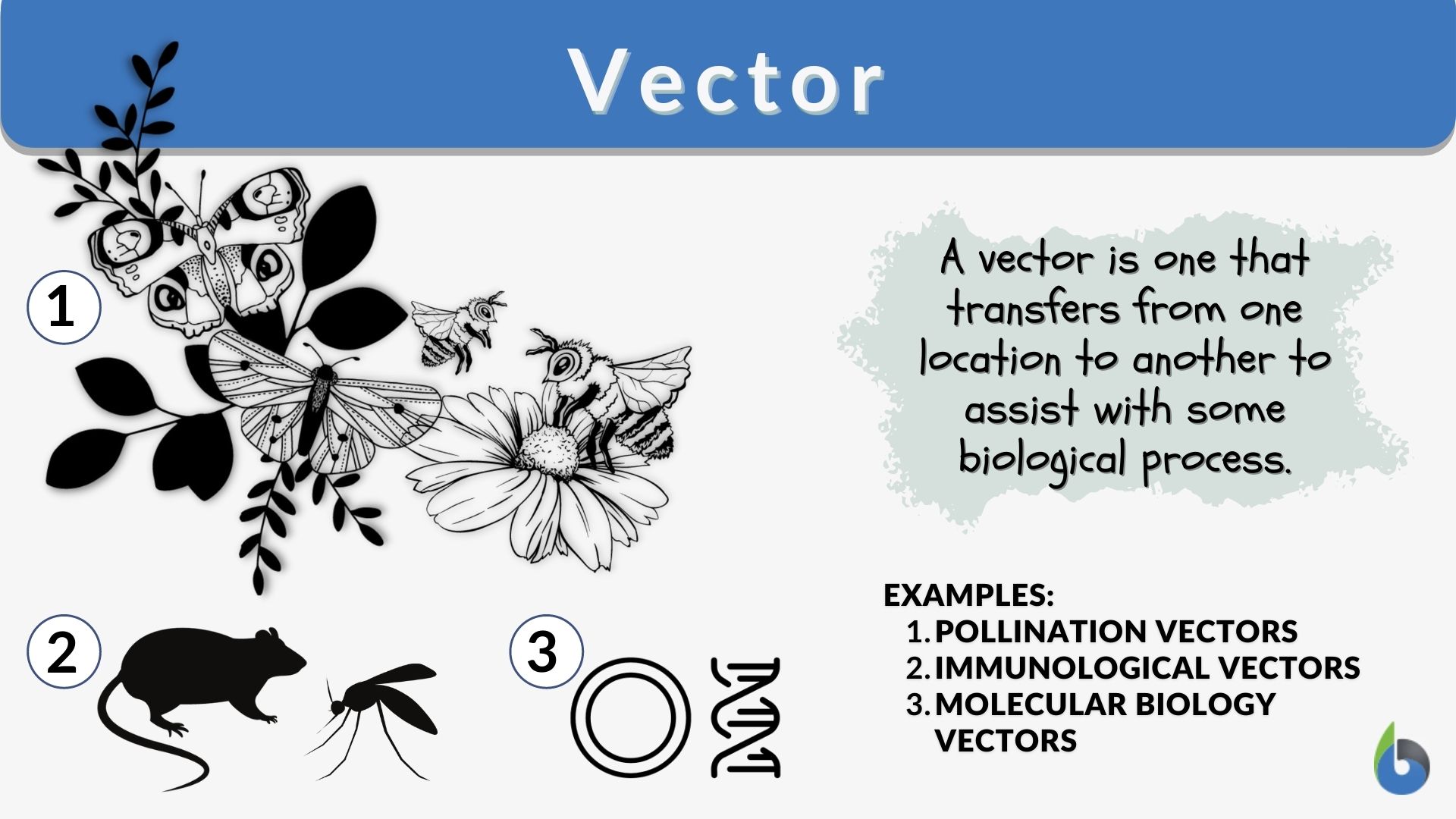 Vector Definition and Examples - Biology Online Dictionary