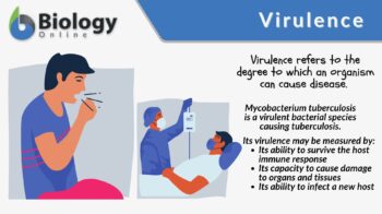 virulence definition and example