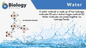 water definition and example
