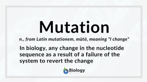 Mutation - definition