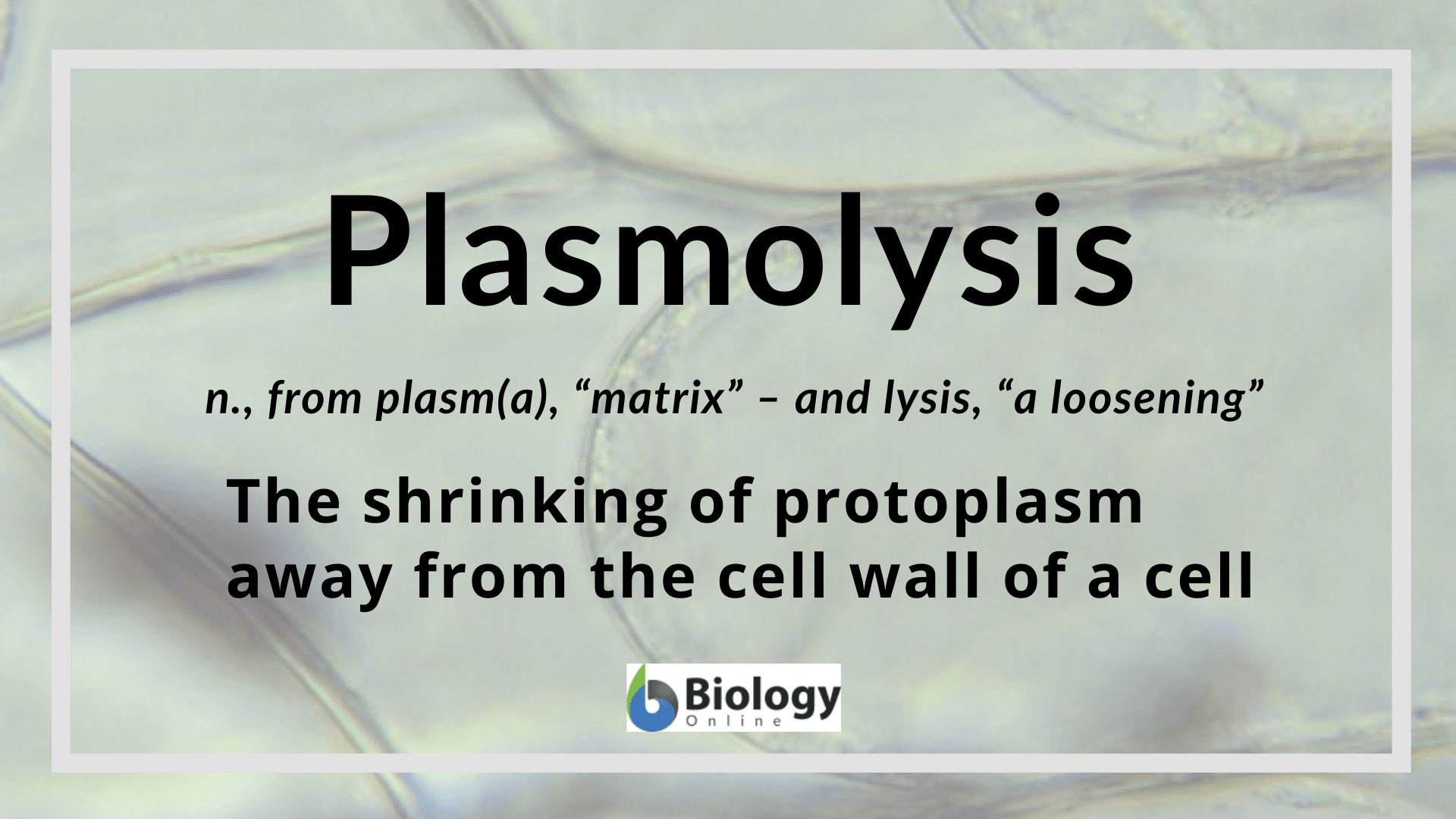 A Plasmolysed Plant Cell Is Placed In Hypotonic Solution Then : 9 2 3 Plants And Animals Regulate The Concentration Of Gases Water And Waste Products Of Metabolism In Cells And Interstitial Fluid Textbook Chapter Ppt Video Online Download : Maybe you would like to learn more about one of these?