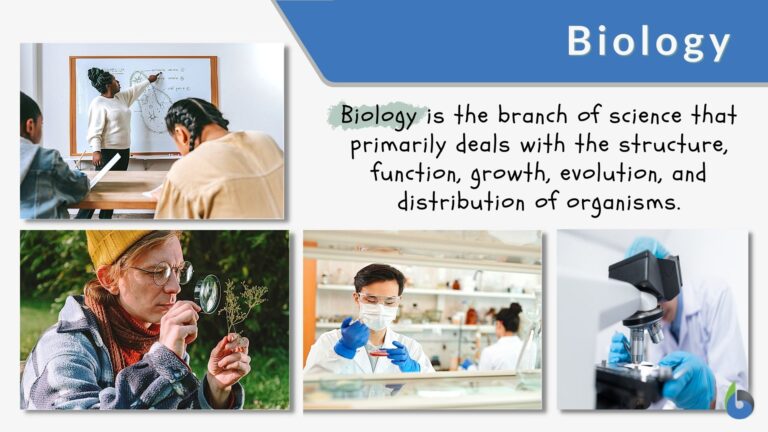 biology definition