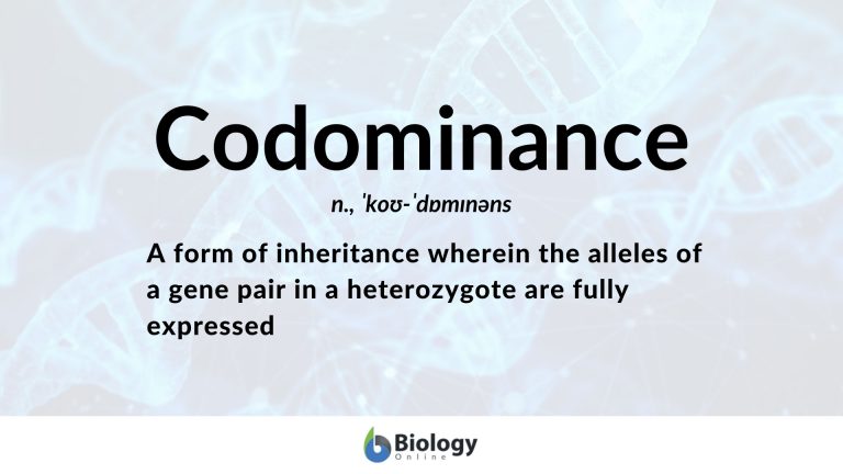 Codominance Definition and Examples - Biology Online ...