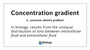 concentration gradient definition