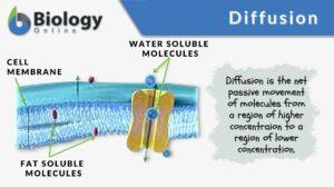 diffusion definition and example