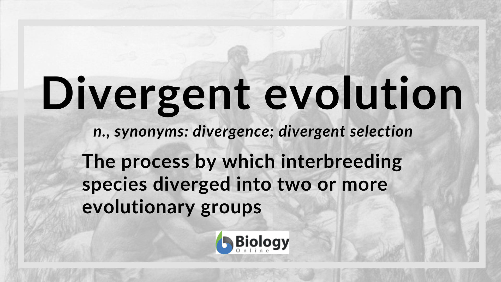 evolution - Definition and Examples - Online