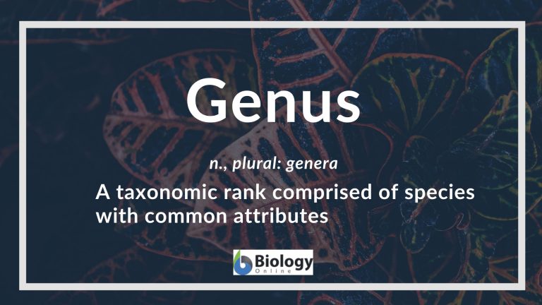 Genus - definition