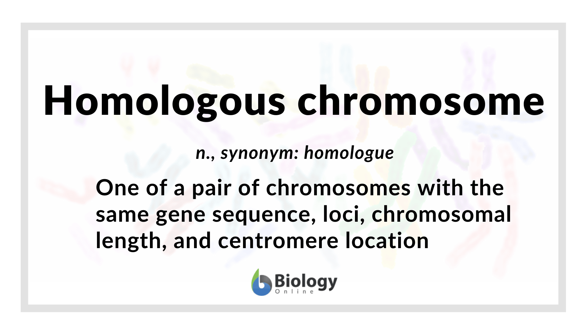 Homologous Chromosome Definition And Examples Biology Online Dictionary