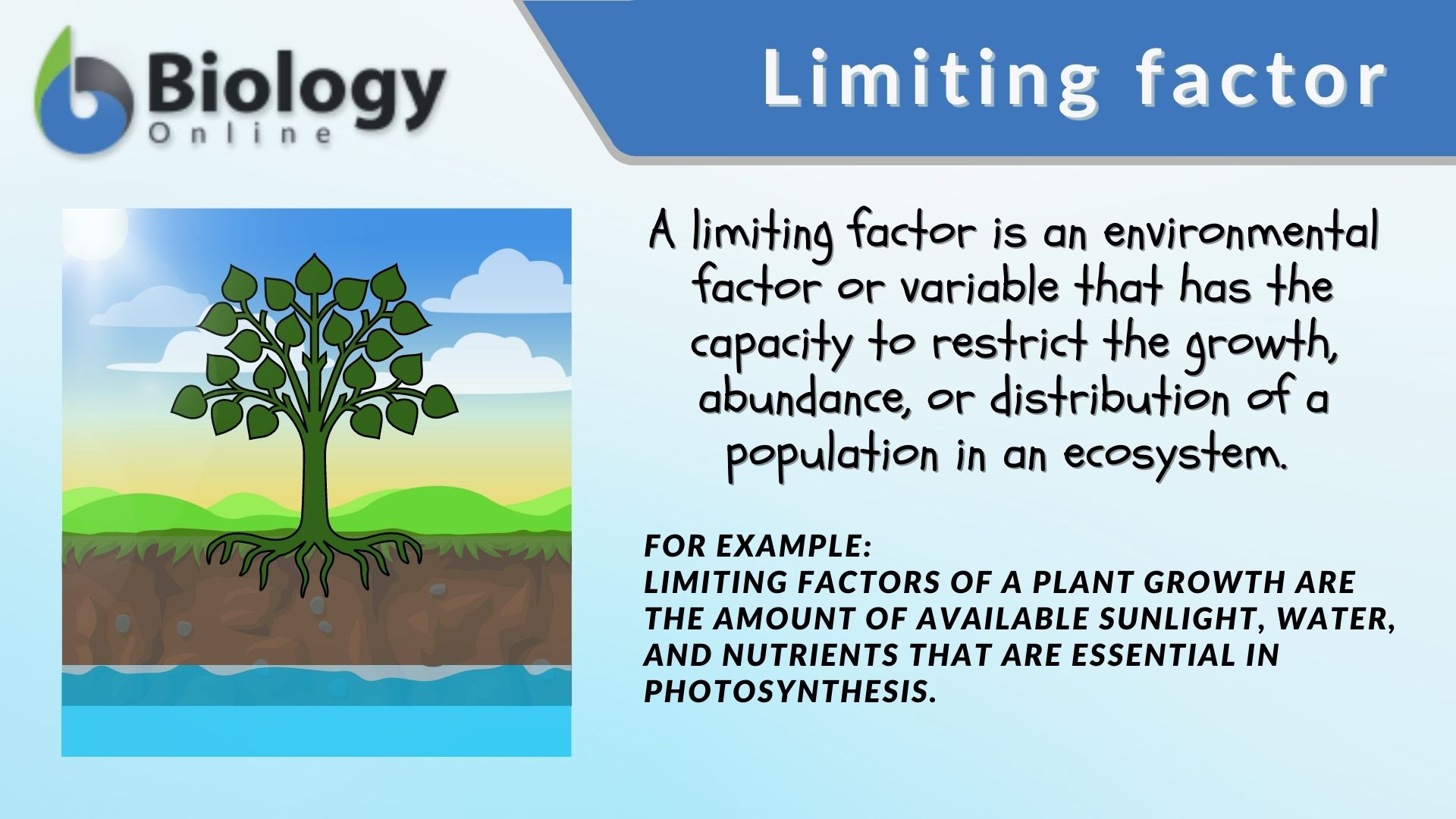 Limiting factor Definition and Examples - Biology Online Dictionary