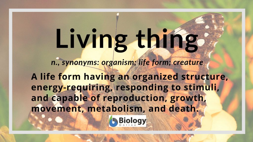 Living Things Meaning