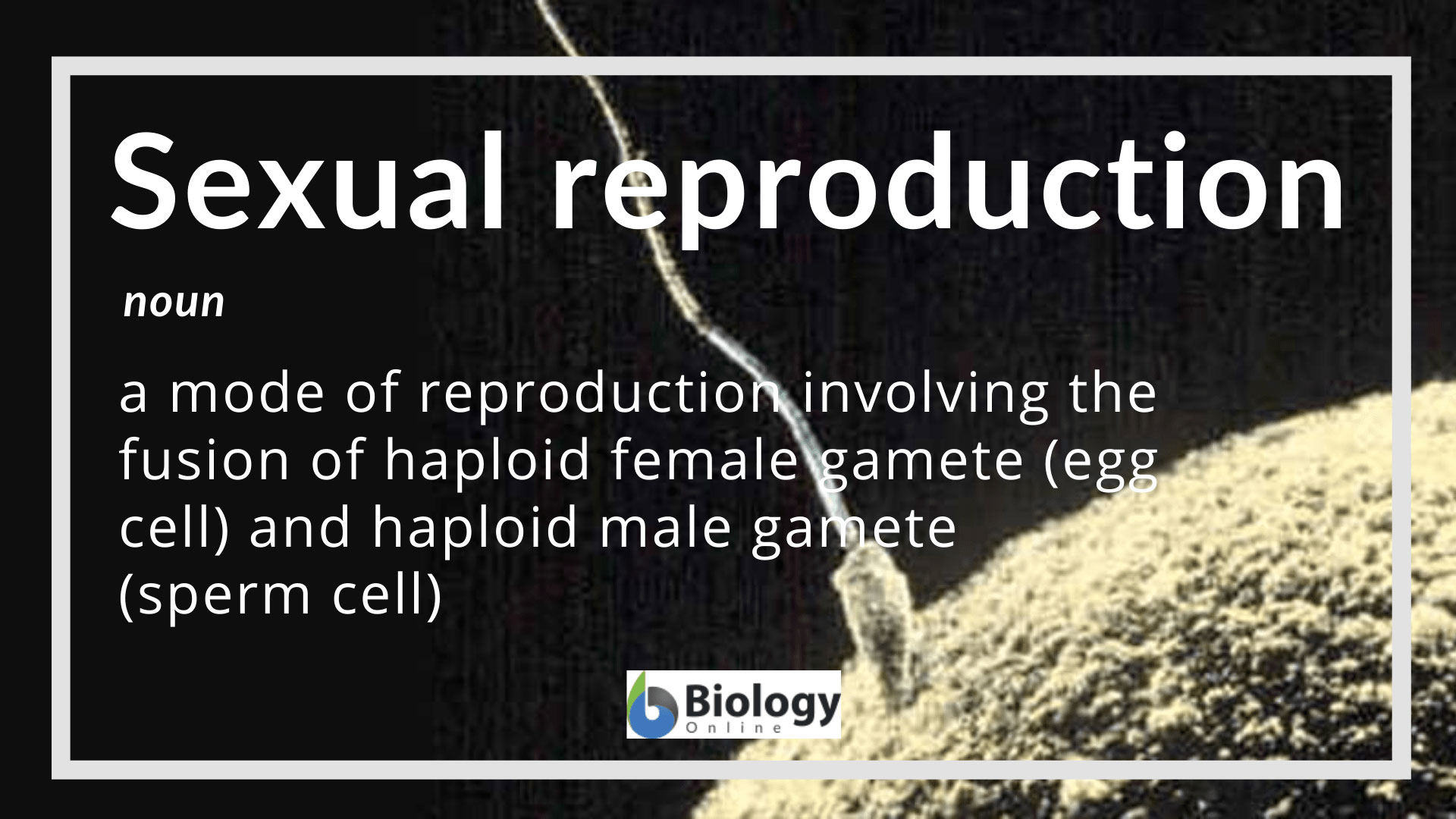 Sexual reproduction - Definition and Examples - Biology Online Dictionary