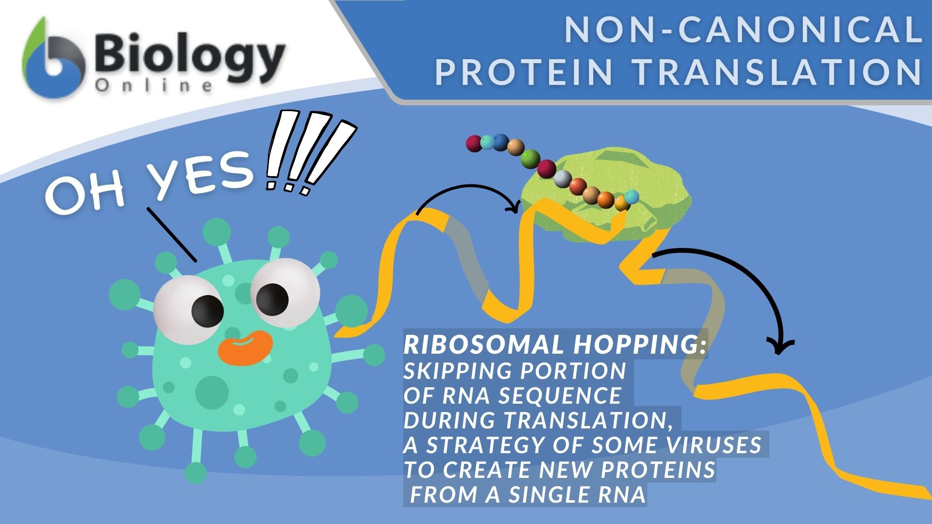 Nonconventional protein translation