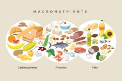 Carbohydrates, fats and proteins - dietary sources