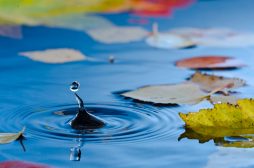 Disturbance on a still water