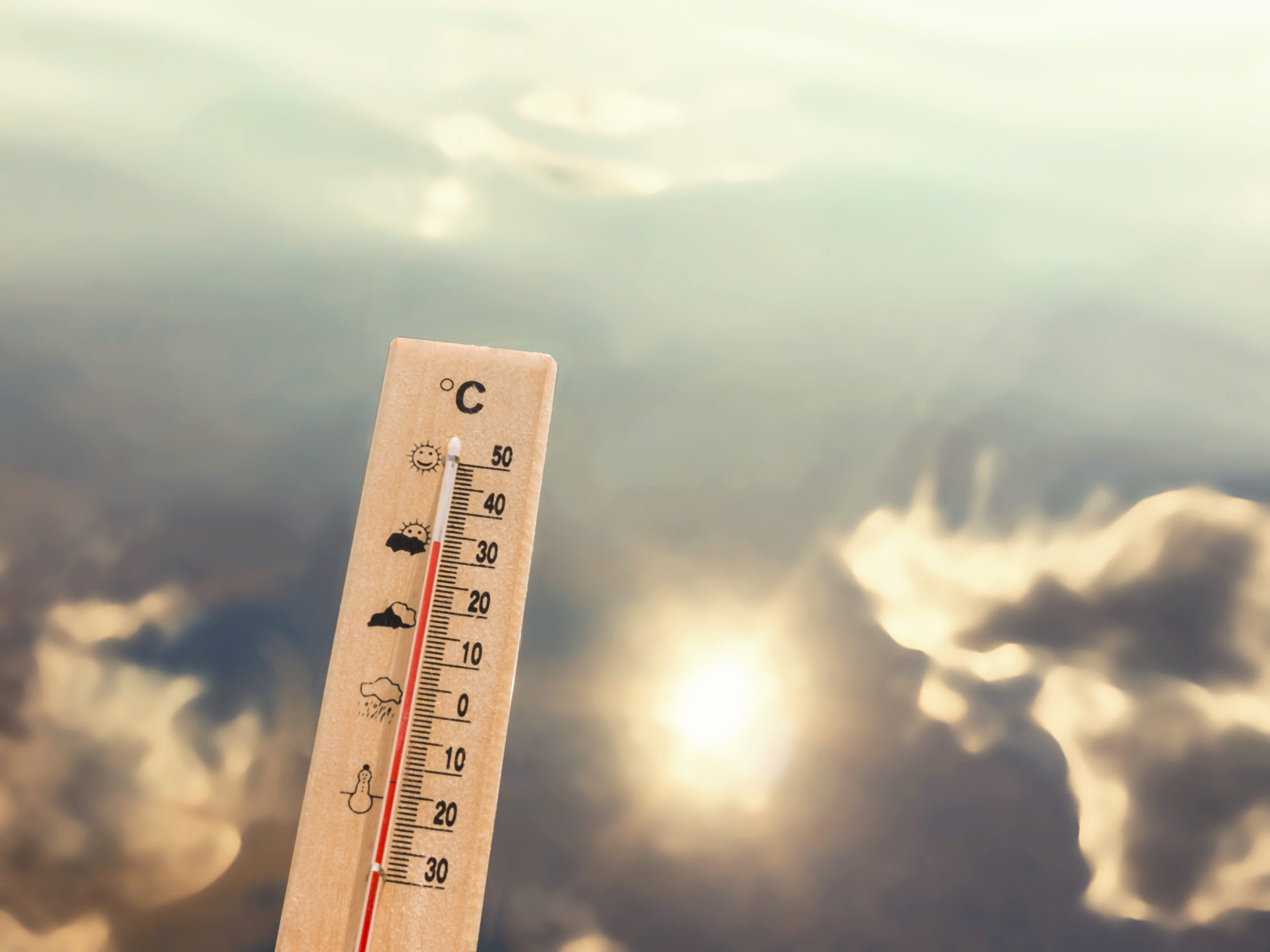 temperature as an ecological factor in plants