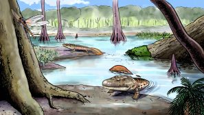 An artist's depiction of the origin of amphibians