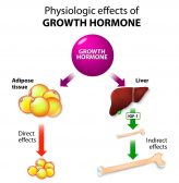 Direct and indirect physiologic effects of growth hormone