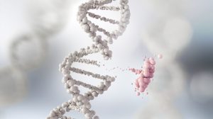 genes controlling growth and development